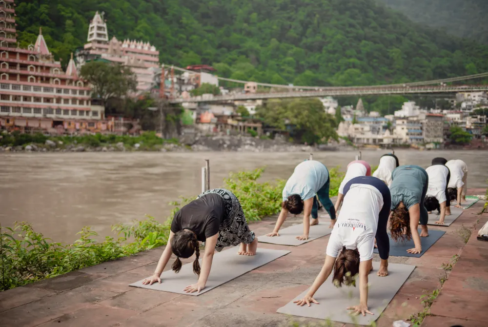 Best yoga retreats in india